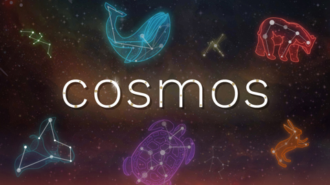 Cosmos